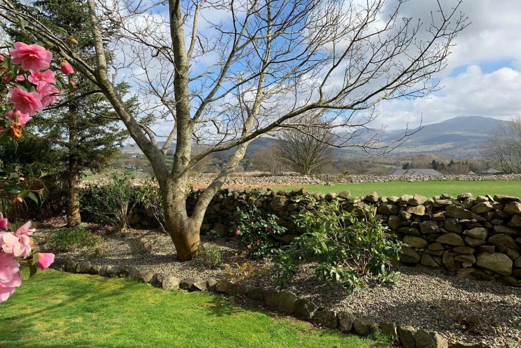 Snowdonia Cabin Caernarfon Bagian luar foto
