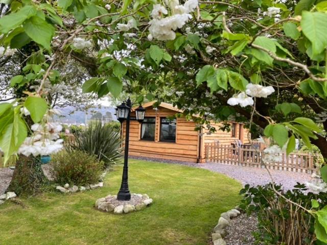 Snowdonia Cabin Caernarfon Bagian luar foto